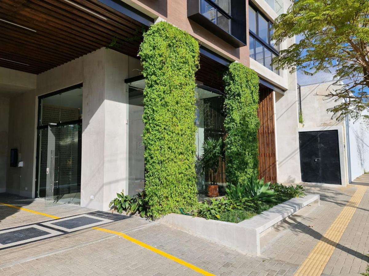 Bee Suites San Jose - Escalante エクステリア 写真